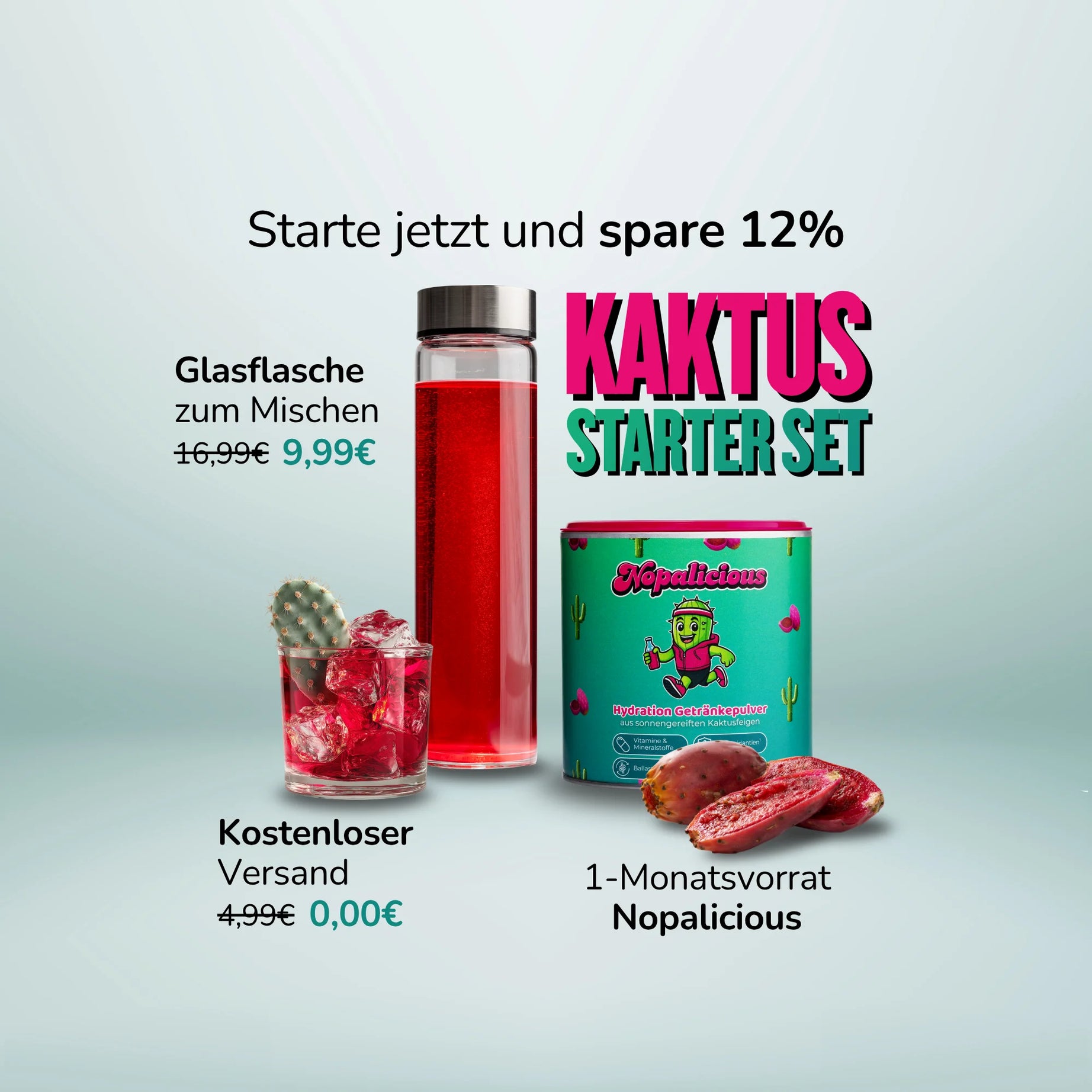 Kaktus Starter Set